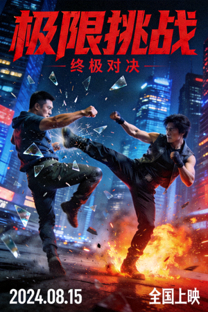 动作电影《极限挑战》海报，激烈打斗场面
